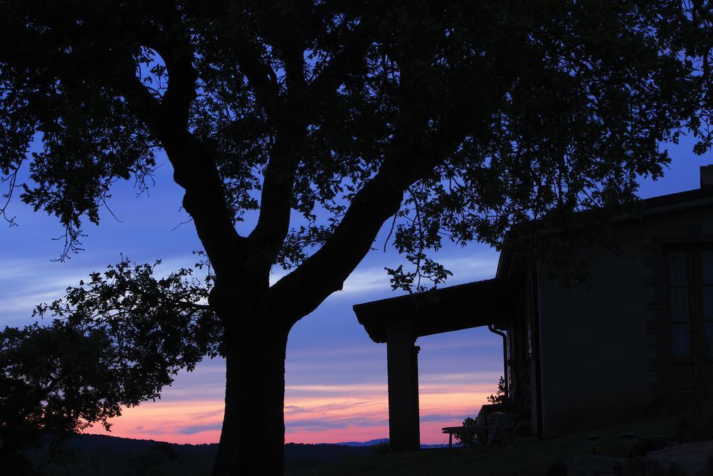 Agriturismo Belvedere Di Pierini E Brugi Campagnatico Bilik gambar
