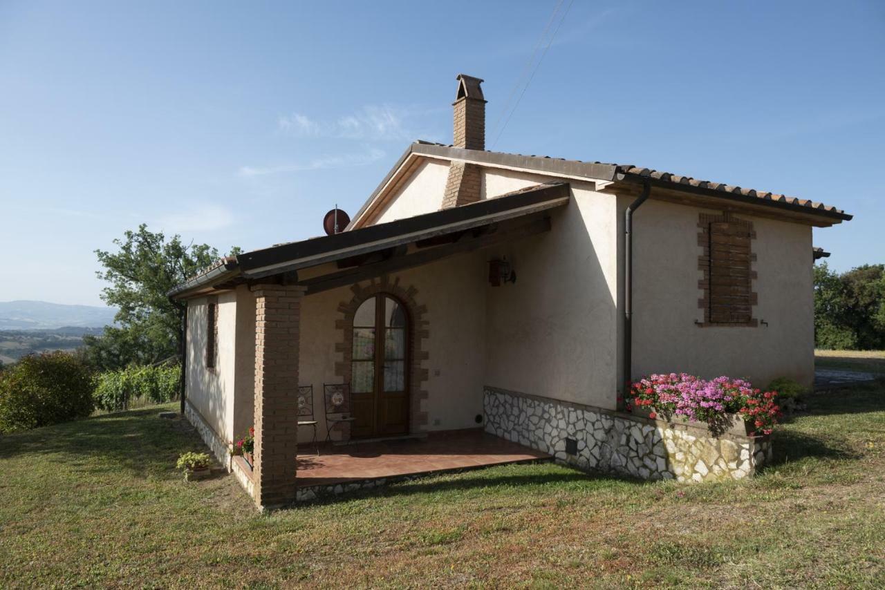 Agriturismo Belvedere Di Pierini E Brugi Campagnatico Luaran gambar