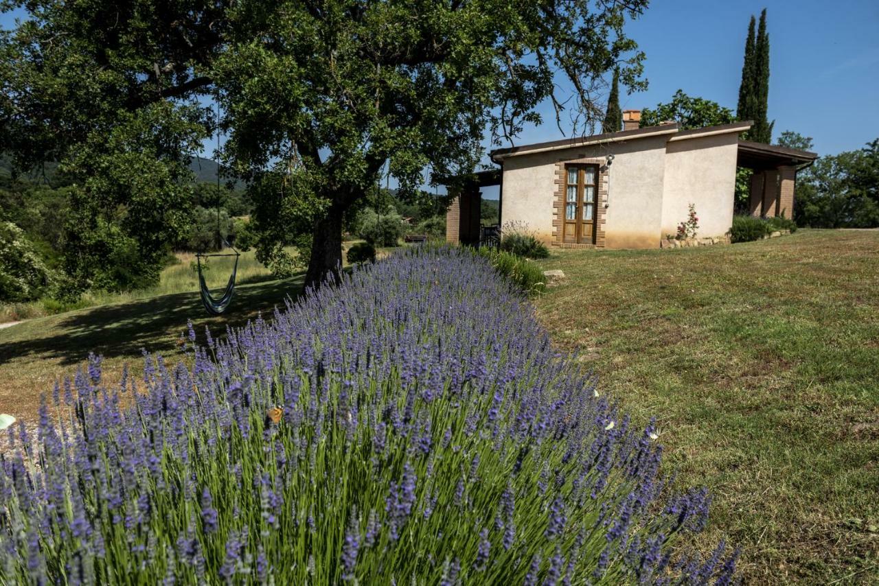 Agriturismo Belvedere Di Pierini E Brugi Campagnatico Luaran gambar